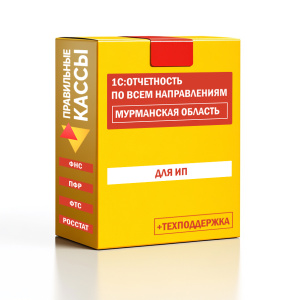 Отчетность_ИП_Мурманская область