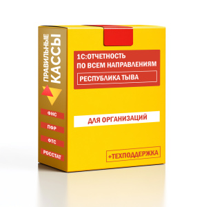 Отчетность_орг_Республика Тыва