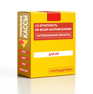 Отчетность_ИП_Астраханская область